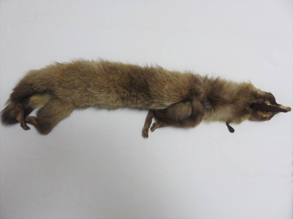 使用わずか品 キツネ 襟巻き 1点 狐 しっぽ 毛皮 ショール 和装 洋装 フォックス 売買されたオークション情報 Yahooの商品情報をアーカイブ公開 オークファン Aucfan Com