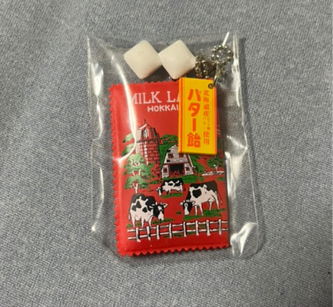 ミニチュア北海道 正規認証品 新規格