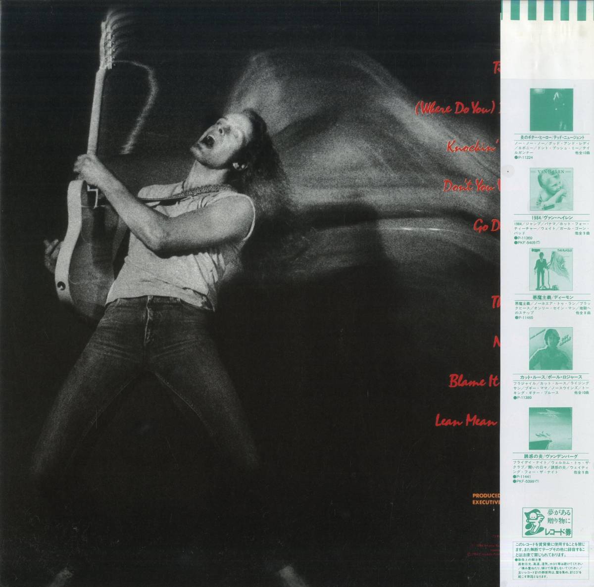 A00480023/LP/テッド・ニュージェント(TED NUGENT)「刺青の侵入者 