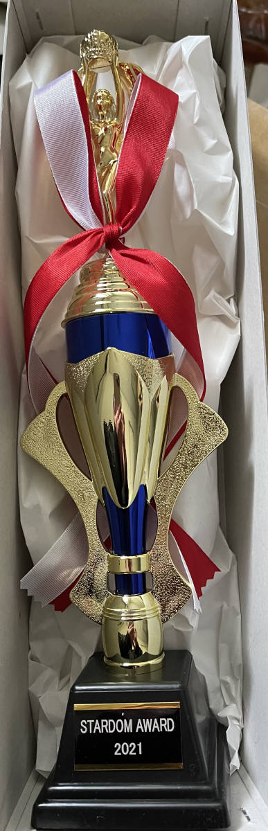 女子プロレス　スターダム　スターダムアワード2021記念品　レプリカトロフィー　STARDOM_1