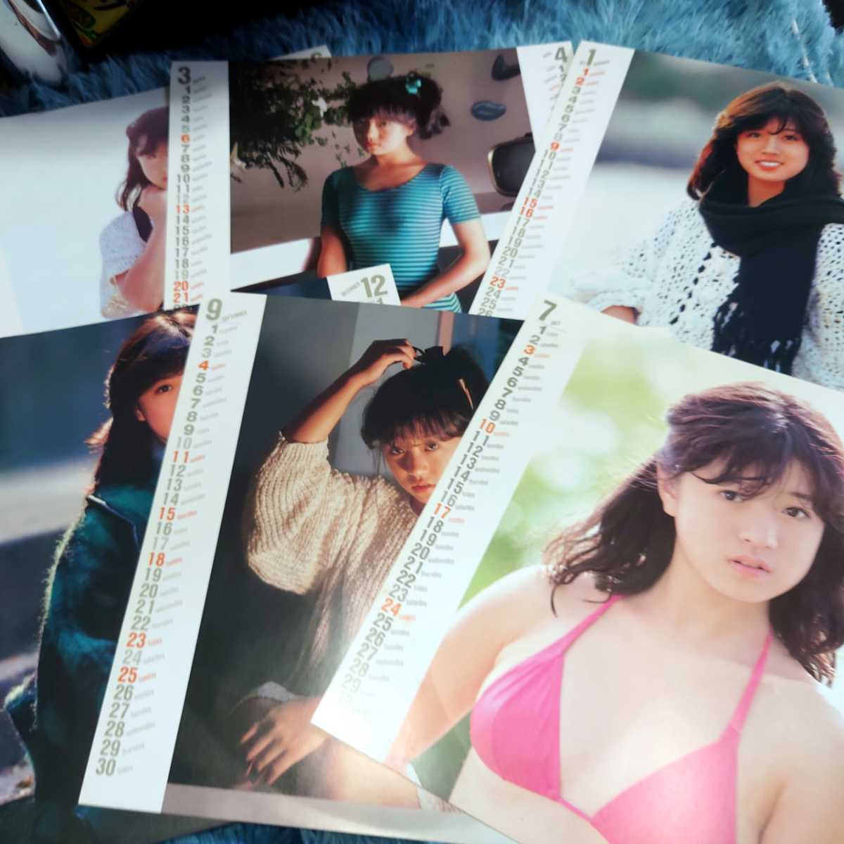 中森明菜 ポスター カレンダー 6枚 グッズ セット 写真(な行)｜売買