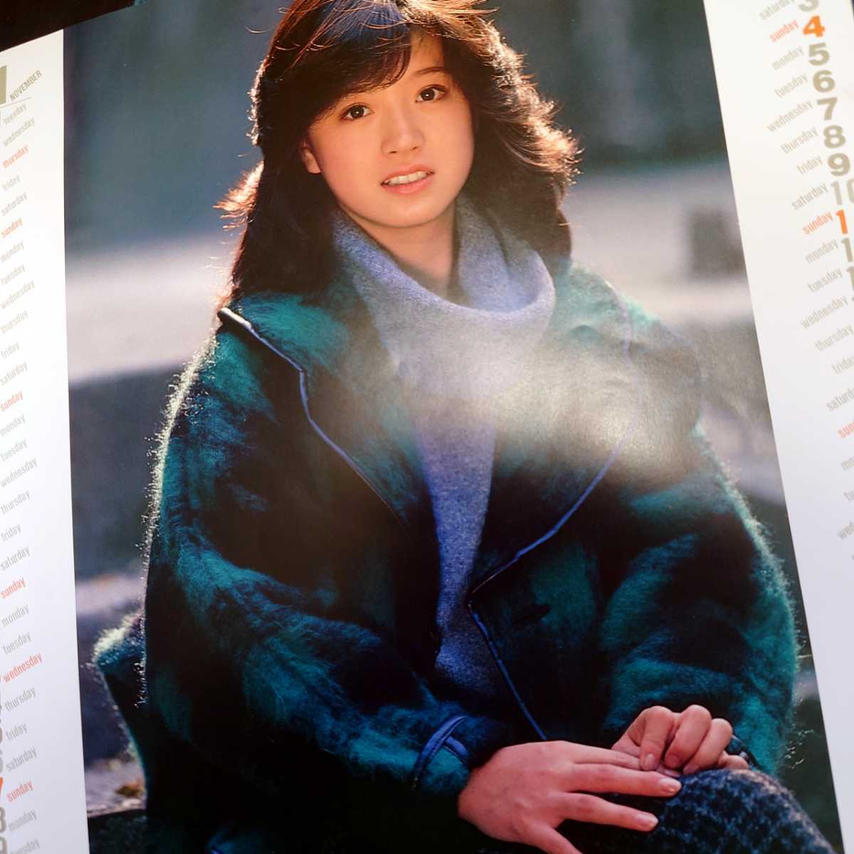 中森明菜 ポスター カレンダー 6枚 グッズ セット 写真(な行)｜売買