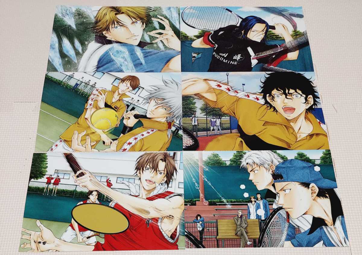 同人テニスの王子様ポストカード 越前リョーマ ぴよこっこ イラストカード カルピン 不二周助 手塚国光 湯キリコ 値頃 手塚国光