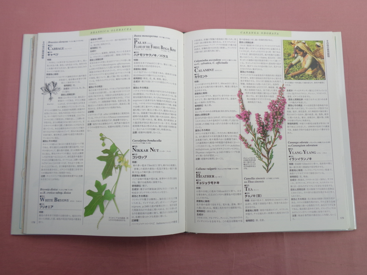 図鑑 世界薬用植物百科事典⁄誠文堂新光社 A 世界薬用植物百科事典