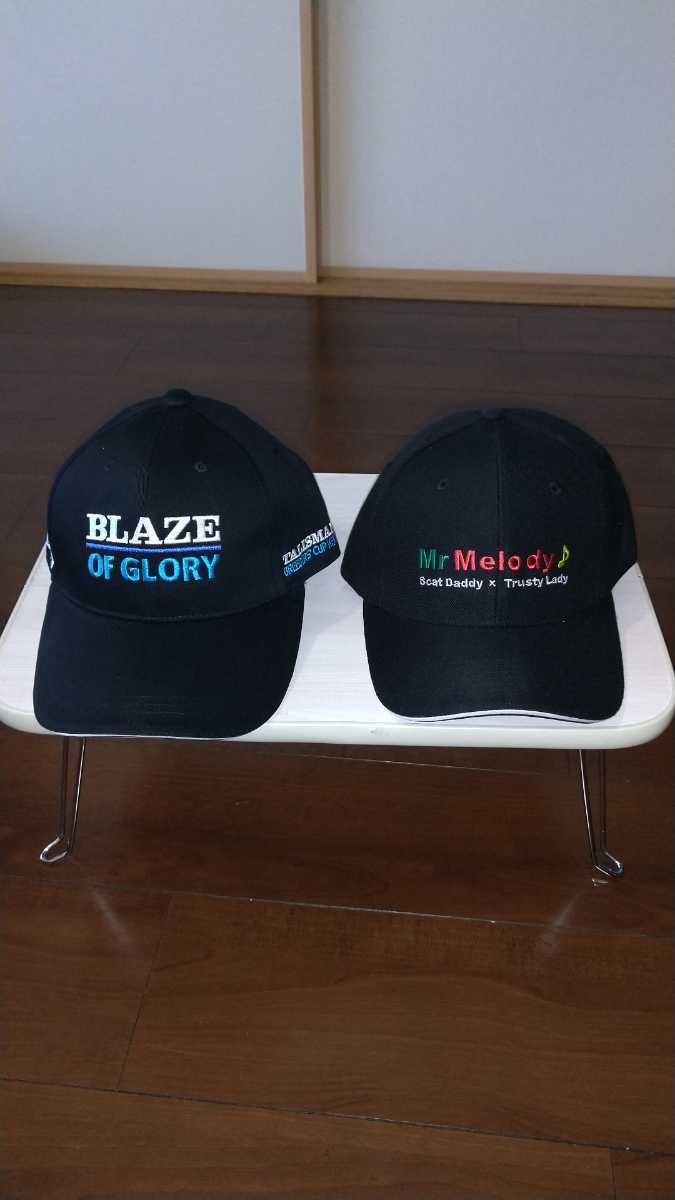 マグカップ キャップ 競馬 リアルスティール レッドファルクス 未使用 