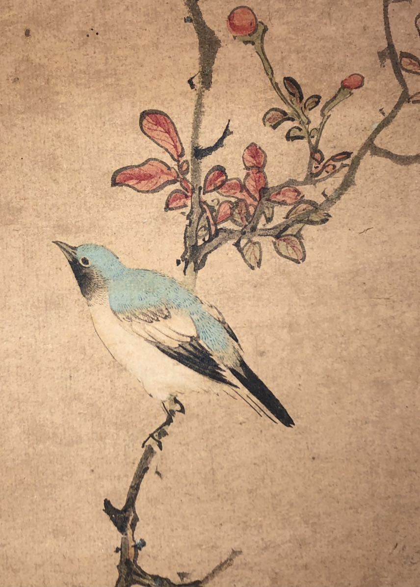 掛軸 無落款 花鳥図 中国