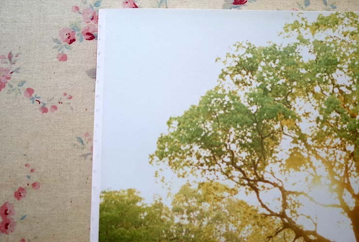 94733/別冊太陽 神像の美 すがたなきものの、かたち。 紺野敏文 平凡社