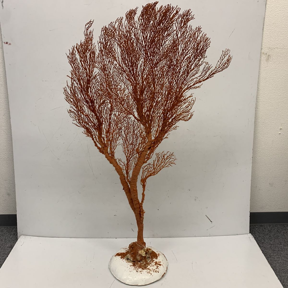 大型作品 平等院鳳凰堂 国宝模『雲中供養菩薩』置物 樹脂 高さ70cm 台 