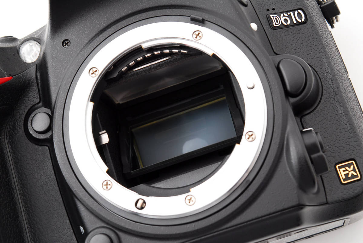 ニコン フルサイズ一眼レフの名脇役 D610 兵庫の猫 撮影レビュー ニコン フルサイズ一眼レフの名脇役 D610 兵庫の猫 撮影レビュー