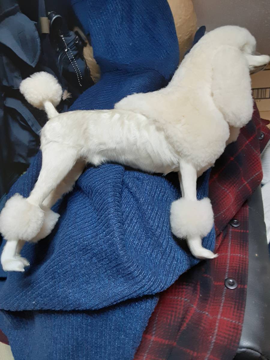 トイプードル ぬいぐるみ リアル 犬｜実物大サイズでポーズ | 素材Good リアルぬいぐるみ？！超おっとり性格のレディが リアルぬいぐるみ？！可愛さの秘密教えちゃいます LINE : トイプードルリアル羊毛フェルト｜そっくりぬいぐるみ・手のひら - 安い商品を通販 トイプードルの正面 リアル手書き風無料イラスト81936 イラスト工房