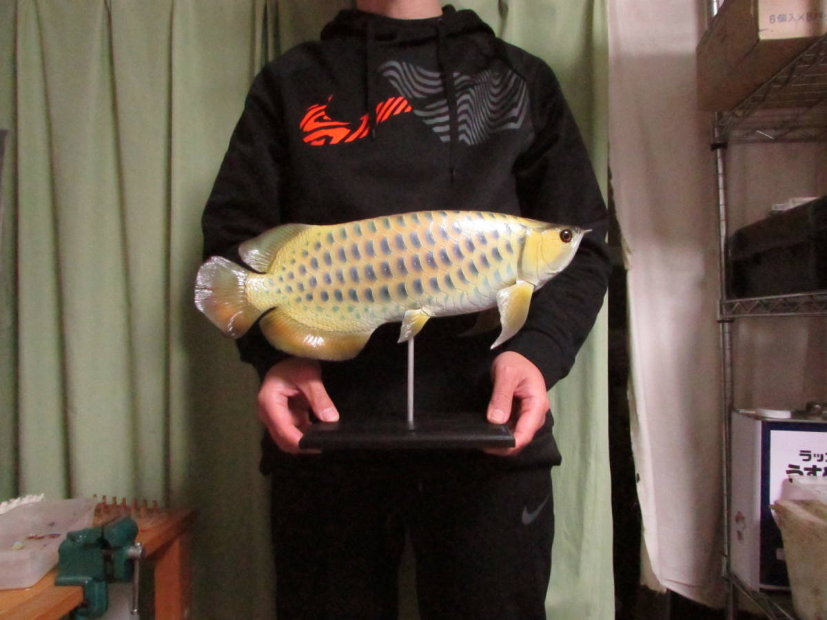 限定SALE，SALE ハンドメイド 手作り ４０ｃｍアロワナ 魚模型 フィギュア レプリカ 熱帯魚 フィッシュカービング fish craft REAL(生き物)｜売買されたオークション情報、yahooの商品情報をアーカイブ公開 - オ 生き物