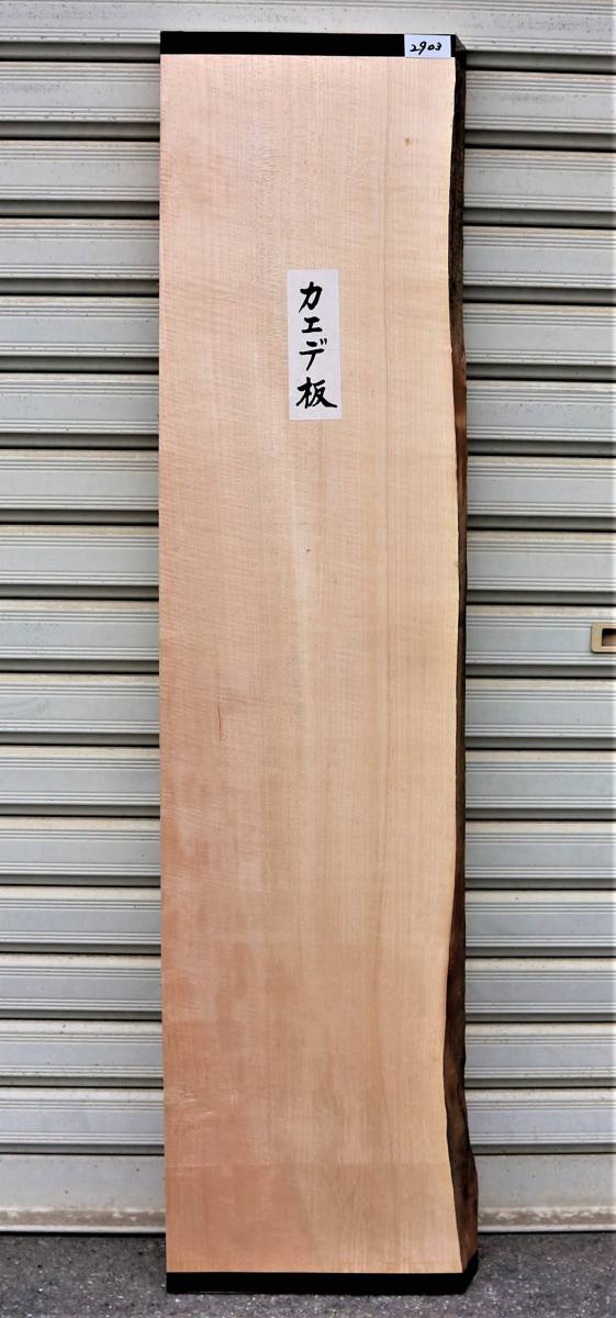 【高品質，送料無料】 楓 カエデ 無垢板 片耳付き 激安 プレナー加工品 銘木 DIY 2903(メープル、楓（かえで）)｜売買されたオークション情報、yahooの商品情報をアーカイブ公開 - オークファン 板、シート