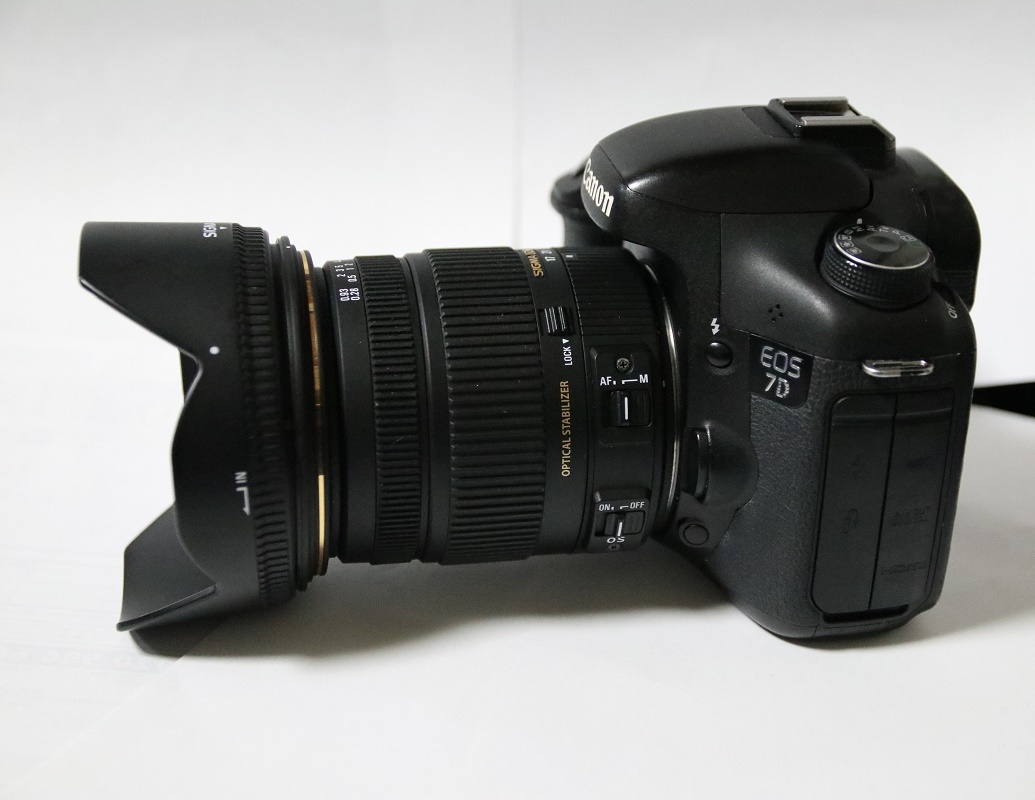 [ジャンク]Canon EOS 7D + SIGMA 17-50mm F2.8 HSM EX 17-50mm Canon DC EOS 7D OS F2.8 + SIGMA Sigma キヤノン f