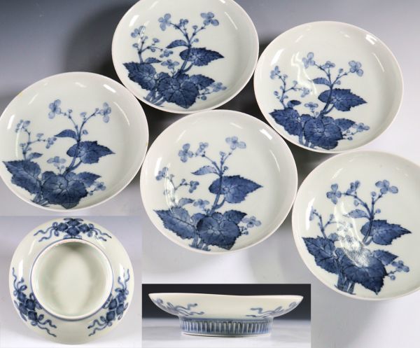 鍋島焼 藍鍋島 五寸皿 染付菊花文 時代箱 V R8086 Yahoo!