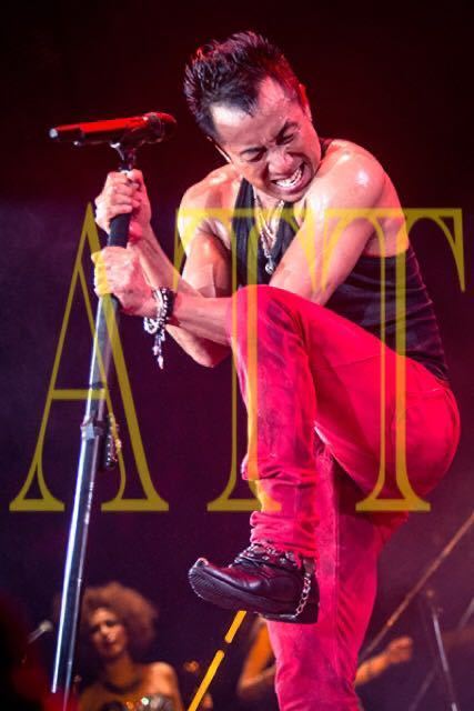 □ - 剛 2015(5CD+DVD) : MUSIC □ 長渕 剛 □ 富士 オールナイト