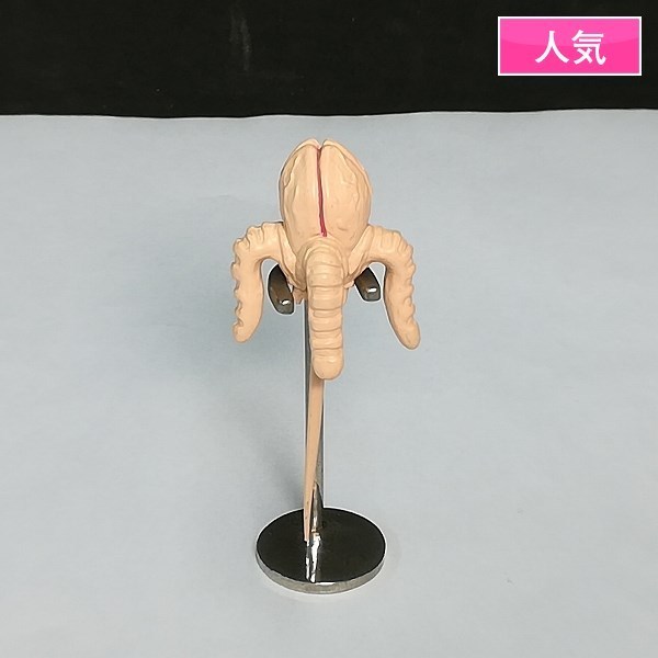 ジョジョの奇妙な冒険 キャラヒーローズ 第3部 前編 ジョジョ第3部 カラー