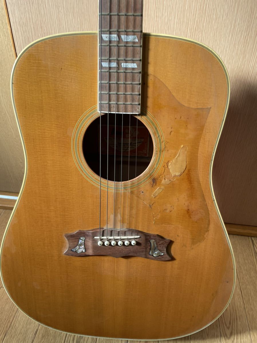 Burny アコースティックギター バーニー BD-85 DOVEモデル 1977 BD-85