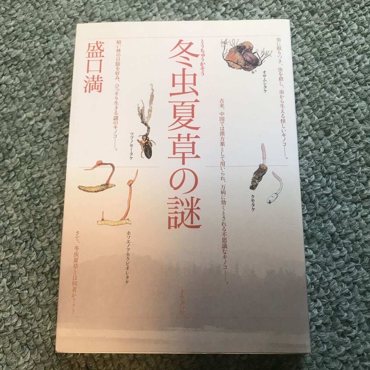 冬虫夏草　値下げ可能になりました！ 冬虫夏草の謎 本 冬虫夏草の入札履歴 - 入札者の順位