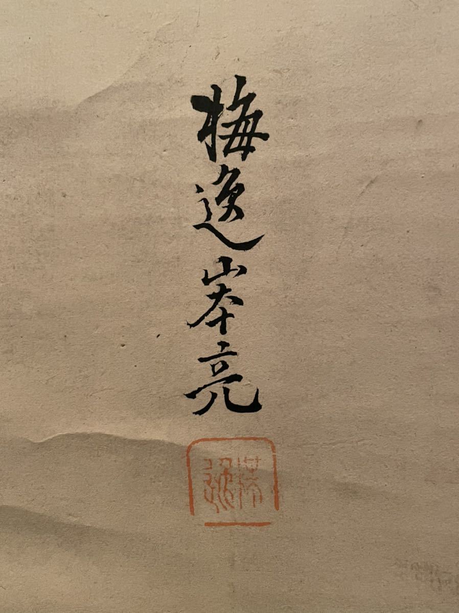 笹】山本梅逸 老松 孔雀図 紙本 肉筆 掛軸 模写 花鳥図 日本画 南画