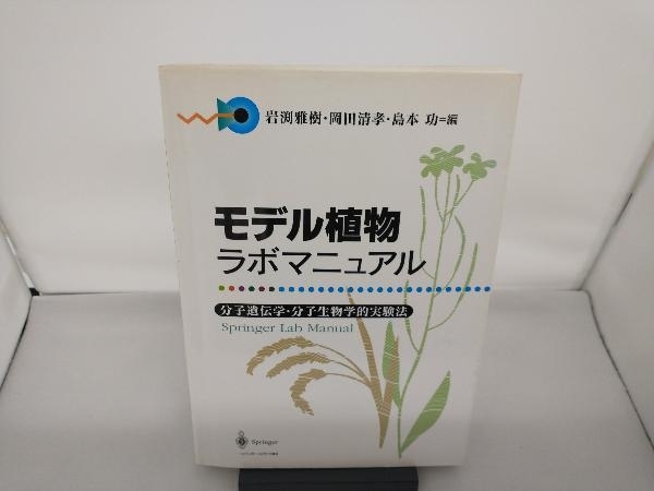 超激得，正規品 モデル植物ラボマニュアル 岩渕雅樹(生物学)｜売買されたオークション情報、yahooの商品情報をアーカイブ公開 - オークファン 生物学