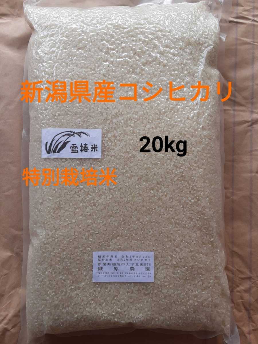 コシヒカリ　20kg　特別栽培米 アウトレット 定価 特別栽培米新潟県産コシヒカリ20k