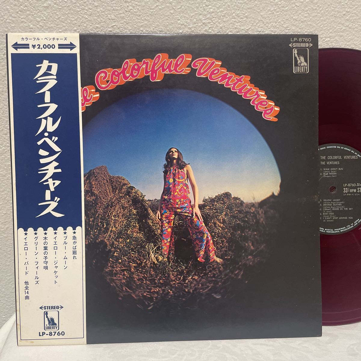 LP レコード エレファントカシマシ THE ELEPHANT KASHIMASHI エレカシ