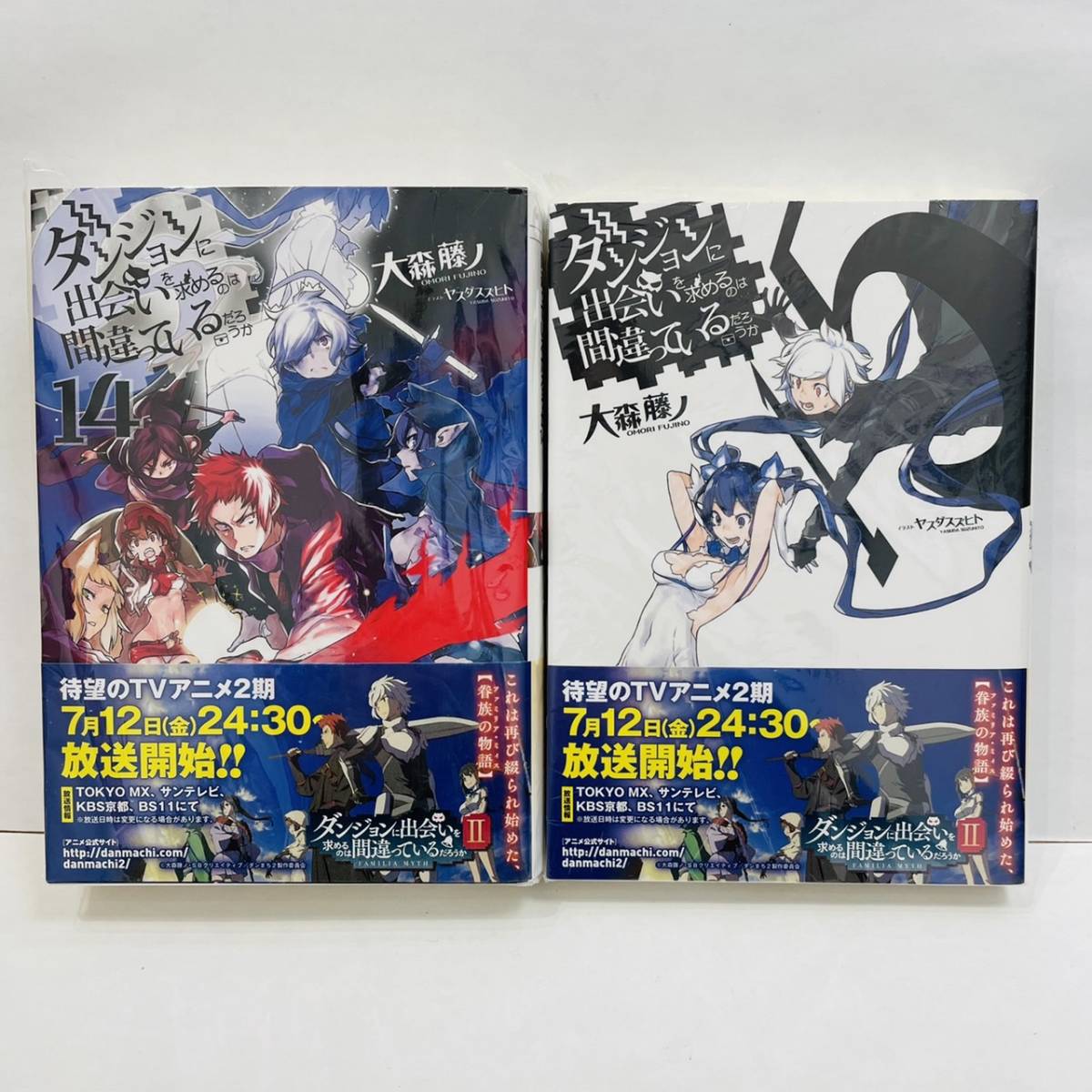 ダンジョンに出会いを求めるのは間違っているだろうか 14巻15巻 漫画 大森藤ノ ヤスダスズヒト アニメ Ga文庫 コミック 青年 売買されたオークション情報 Yahooの商品情報をアーカイブ公開 オークファン Aucfan Com