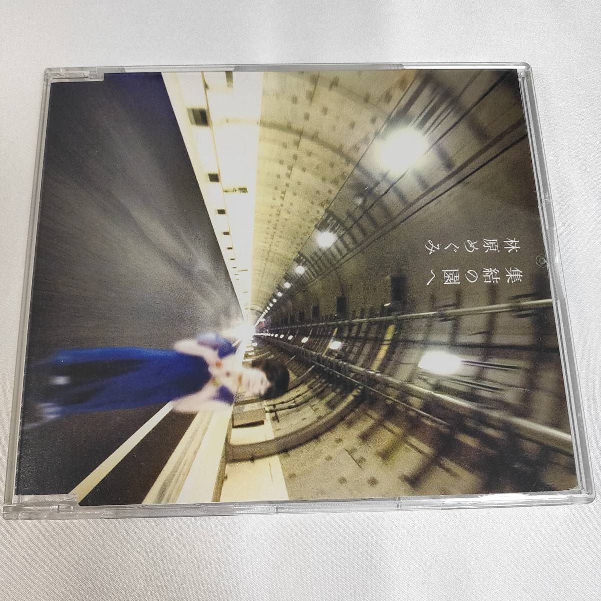 Cd 林原めぐみ 集結の園へ Cr 新世紀エヴァンゲリオン 最後のシ者 イメージソング アニメソング一般 売買されたオークション情報 Yahooの商品情報をアーカイブ公開 オークファン Aucfan Com
