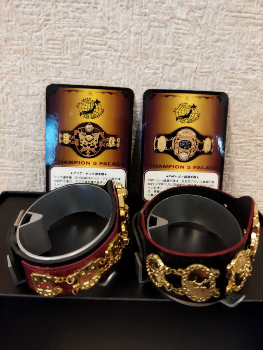 PWFタッグチャンピオンベルト （全日本プロレス公認チャンピオンベルト 