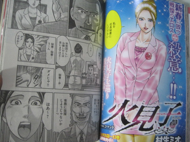 村生ミオ 「火見子」表紙&カラー 『プレイコミック』2010年1月号 付録