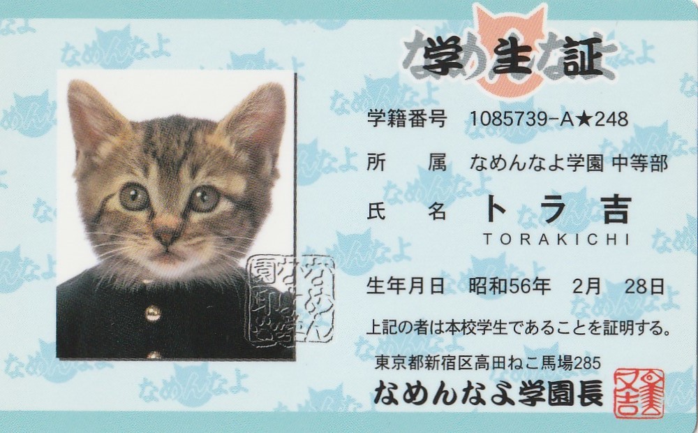 なめ猫 トラ吉 学生証カード なめんなよ 猫雑貨 猫グッズ 猫柄 ねこ ネコ Cat トラ猫 キジ猫 コミック アニメグッズ 売買されたオークション情報 Yahooの商品情報をアーカイブ公開 オークファン Aucfan Com