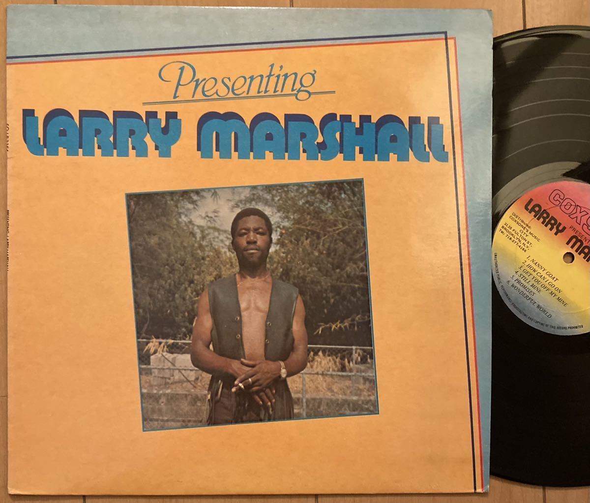 【お買い得，最新作】 激レアUS盤 Larry Marshall - Presenting Larry Marshall / Studio One Coxsone スタワン Discogs高額(レゲエ)｜売買されたオークション情報、yahooの商品情報をアーカイブ公開 - オークファン レゲエ