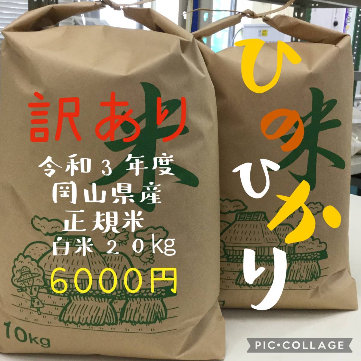 10kg 令和7年産 精米 白米 ヒノヒカリ 訳あり（品種（米）ヒノヒカリ 