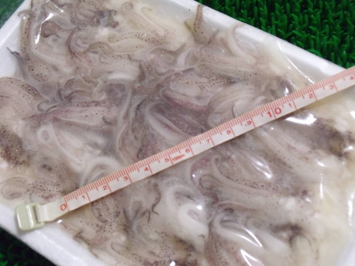 寿司ネタに やりいか ヤリイカ げそ ゲソ 下足 10g 枚 枚 1パック 同梱可能 イカ 売買されたオークション情報 Yahooの商品情報をアーカイブ公開 オークファン Aucfan Com