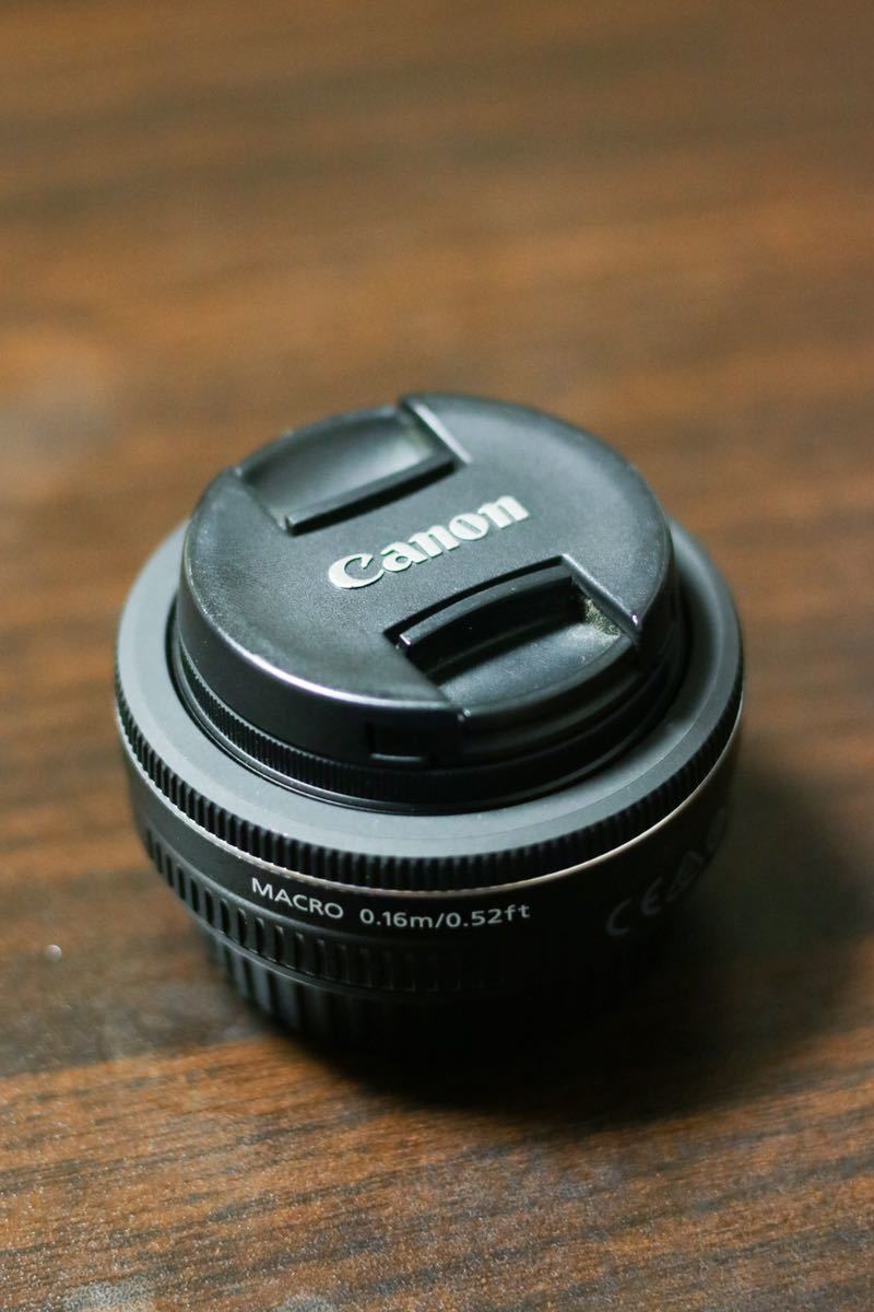 Canon EF-S 24mm f⁄2.8 STM Lens 9522B002