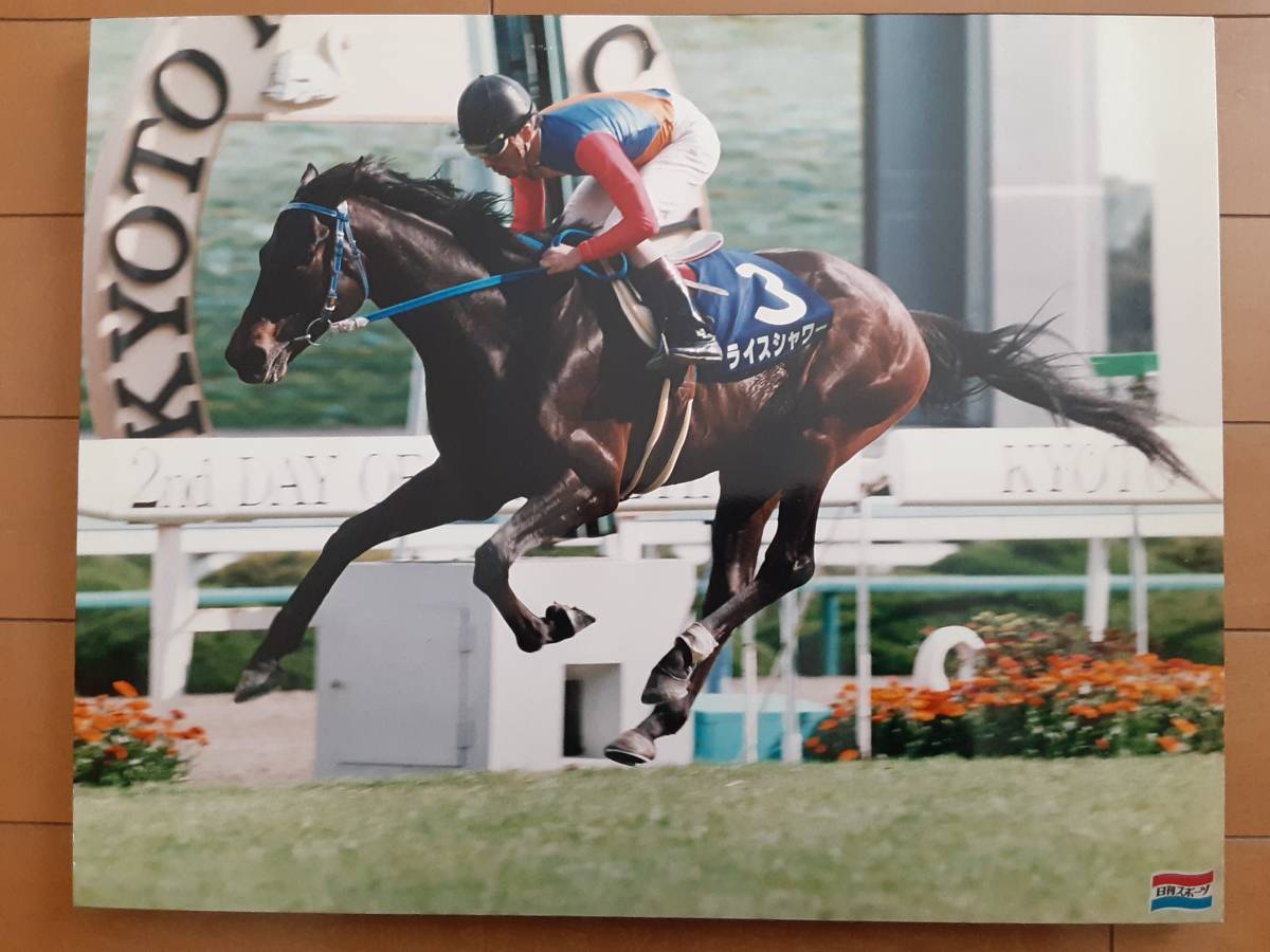 ライスシャワー 天皇賞 春 日刊スポーツ 写真パネル 春 天皇賞 ライス
