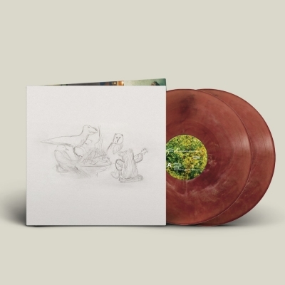 【カラーヴァイナル仕様 2枚組アナログLP 】Big Thief「Dragon New Warm Mountain I Believe In You」ビッグ・シーフ