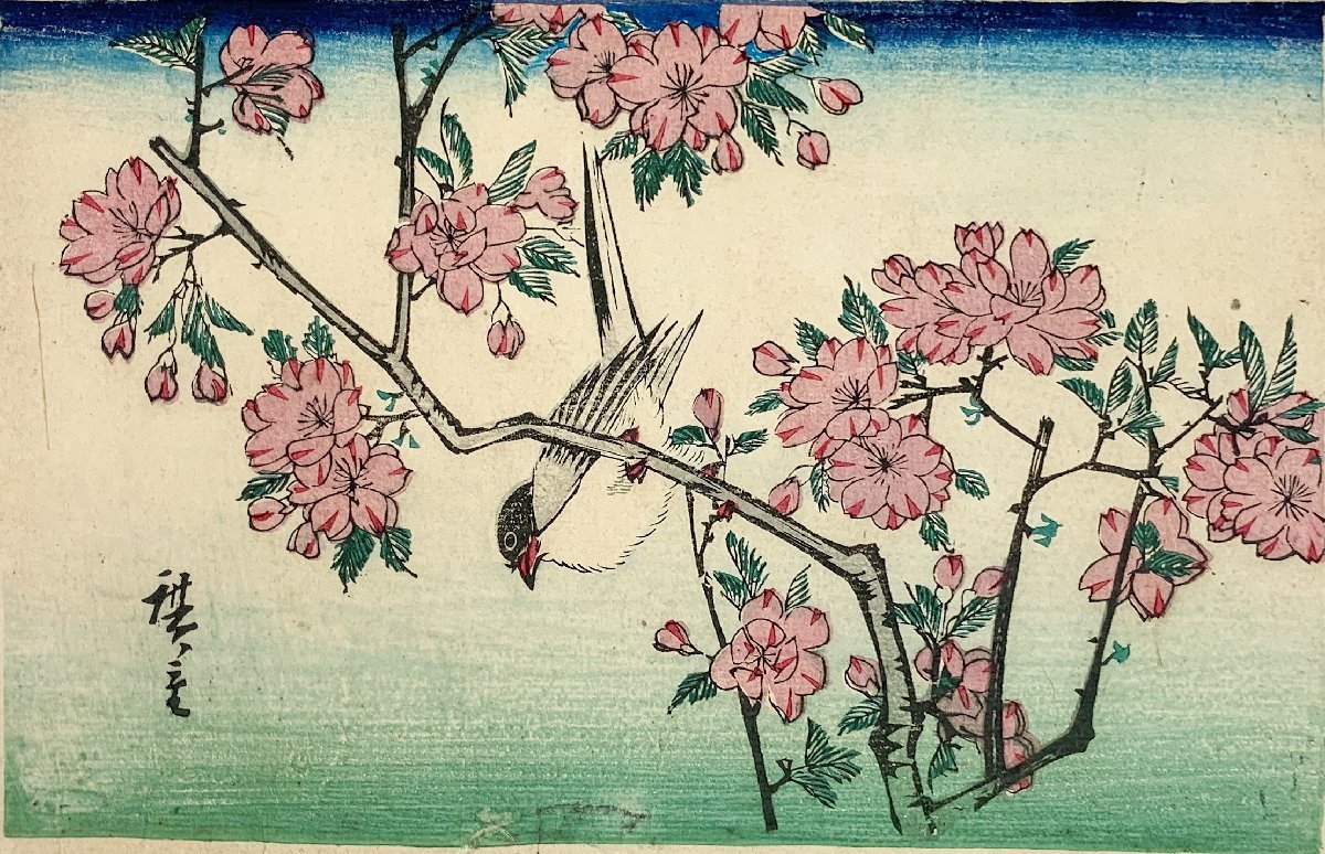 Shin 歌川広重 花鳥図 浮世絵 朝顔 桜 浮世絵 版画 売買されたオークション情報 Yahooの商品情報をアーカイブ公開 オークファン Aucfan Com