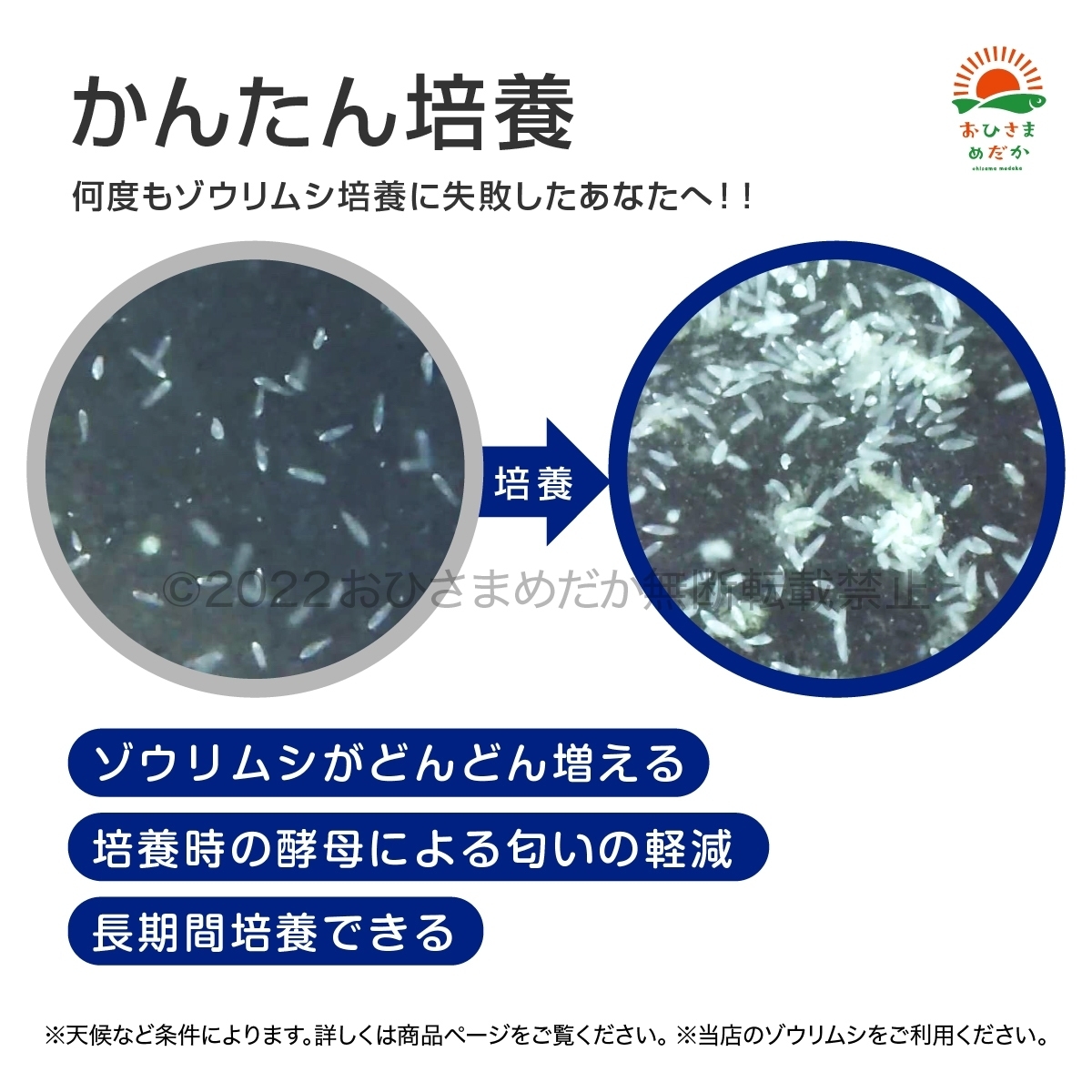 ゾウリムシ培養粉 10g 10l培養分 メダカ めだか 金魚 ミジンコ ゾウリムシ クロレラ 針子 Psbや ゾウリムシ培養に 水質調整 売買されたオークション情報 Yahooの商品情報をアーカイブ公開 オークファン Aucfan Com ゾウリムシ培養粉 10g 10l培養分 メダカ めだか 金魚 ミジンコ ゾウリムシ クロレラ 針子 Psbや ゾウリムシ培養に 水質調整 売買されたオークション情報 Yahooの商品情報をアーカイブ公開 オークファン Aucfan Com