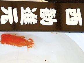 2026，安い 遠州らんちゅう会入賞/鷲津寿典/二歳14ｃｍ前後 西勧進元(らんちゅう)｜売買されたオークション情報、yahooの商品情報をアーカイブ公開 - オークファン らんちゅう
