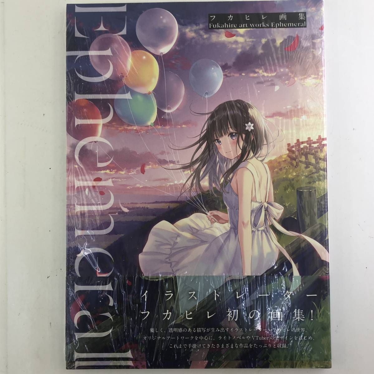 1円 フカヒレ画集 Ephemeral フカヒレ Fukahire Art Works Ephemeral イラストレーター イラスト集 原画集 売買されたオークション情報 Yahooの商品情報をアーカイブ公開 オークファン Aucfan Com