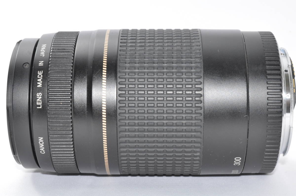 EF キヤノン 75-300mm Canon USM Ⅱ F4-5.6 f⁄4-5.6 望遠レンズ 手