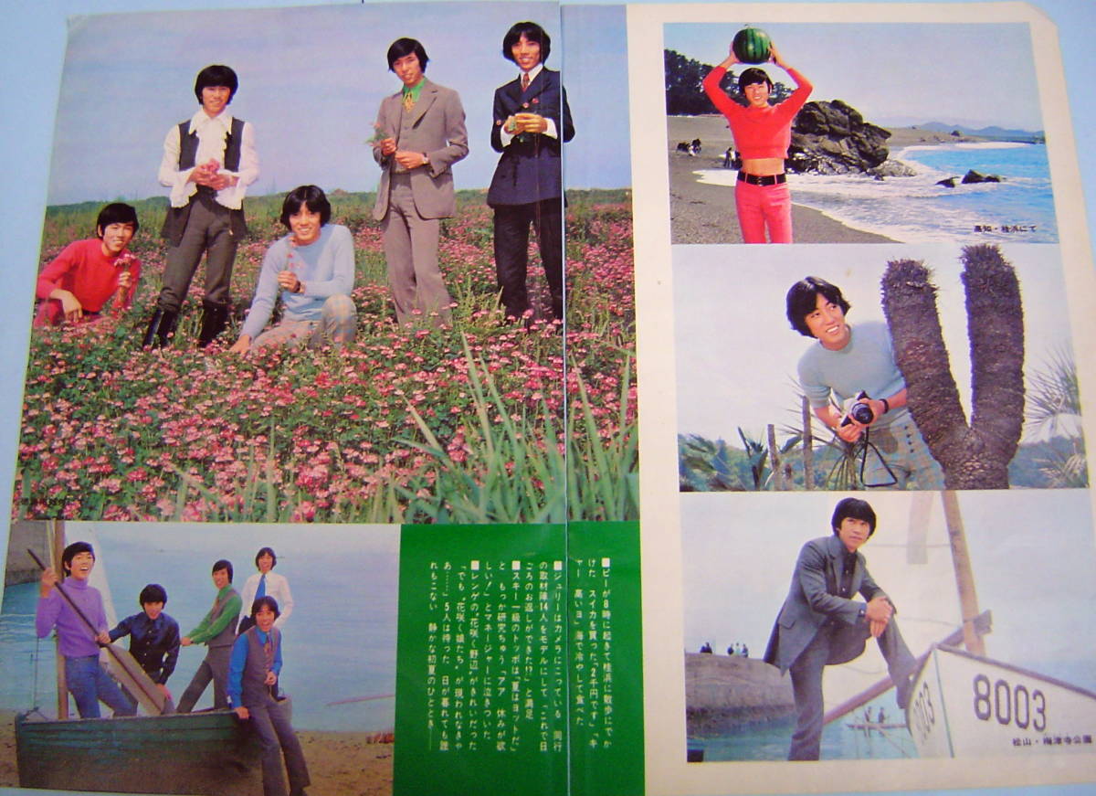 ザ・タイガース 沢田研二 いろいろ 【厳選：雑誌・切り抜き  