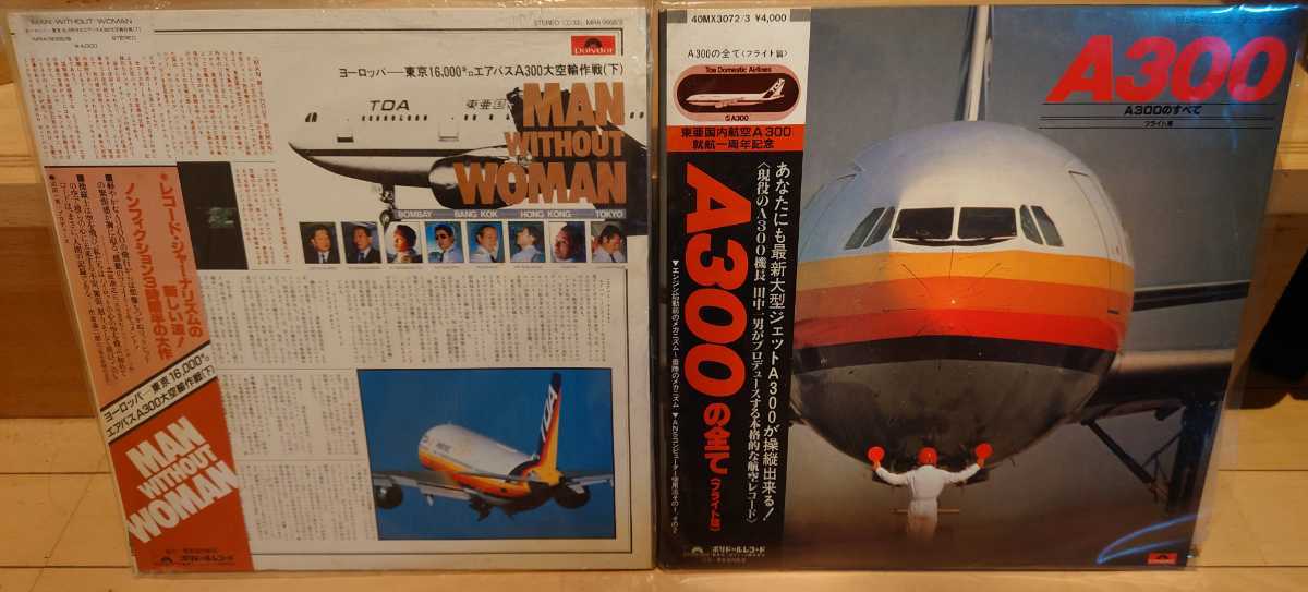 レコード 33 1/3 東亜国内航空 TDA A300の全て（フライト編
