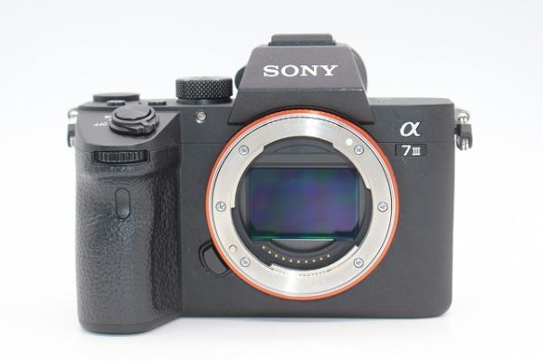 ■ジャンク■ソニー SONY デジタルカメラ α7III ボディ ILCE-7M3 ミラーレス一眼 #Z1270 SONY α7III ILCE-7M3 美品SONY (ILCE-7M3K) 予算30万〜の一生モノカメラフルサイズ