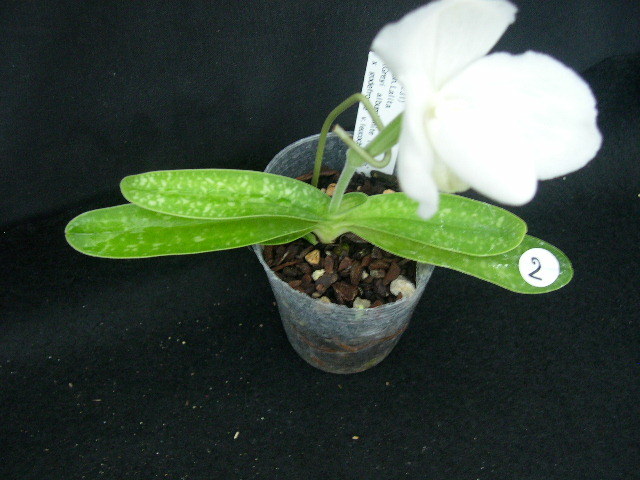 t1056621907.3