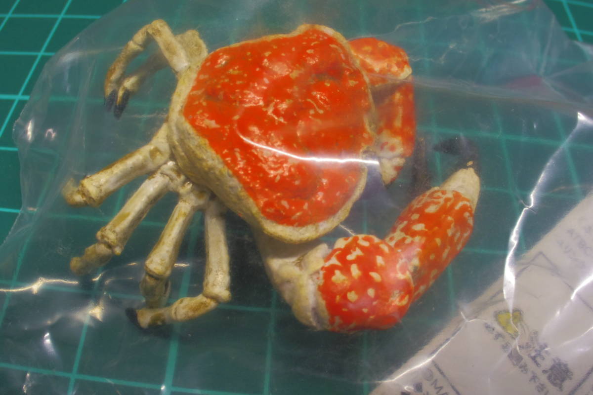 原色甲殻類エビ カニ図鑑 二ホンザリガニ 日本水族館立体生物図録 8 オーストラリアオオガニ 生き物 売買されたオークション情報 Yahooの商品情報をアーカイブ公開 オークファン Aucfan Com