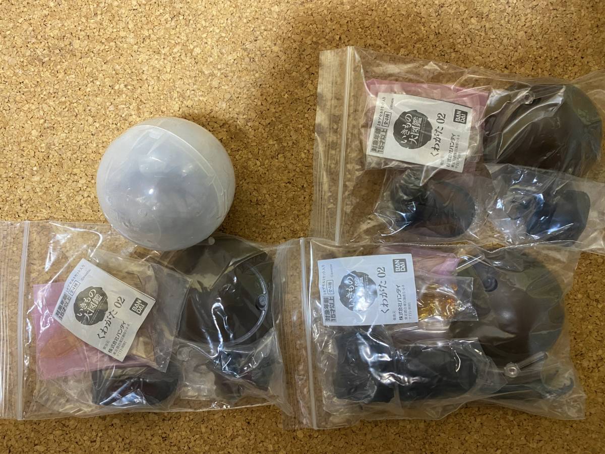  いきもの大図鑑 くわがた02 全４種セット(生き物)｜売買されたオークション情報、yahooの商品情報をアーカイブ公開 - オークファン 生き物
