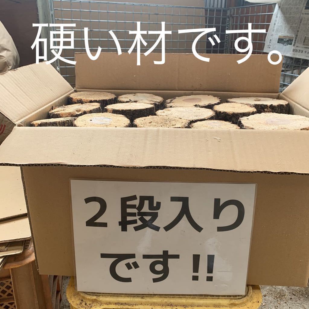 新作登場，HOT No.４ 産卵木硬い材 110サイズの箱にびっしり入ってます オオクワガタ(止まり木、ほだ木)｜売買されたオークション情報、yahooの商品情報をアーカイブ公開 - オークファン 止まり木、ほだ木