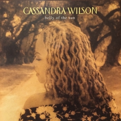  コピス吉祥寺 CASSANDRA WILSON/BELLY OF THE SUN PPANBST35072(ボーカル)｜売買されたオークション情報、yahooの商品情報をアーカイブ公開 - オークファン ボーカル
